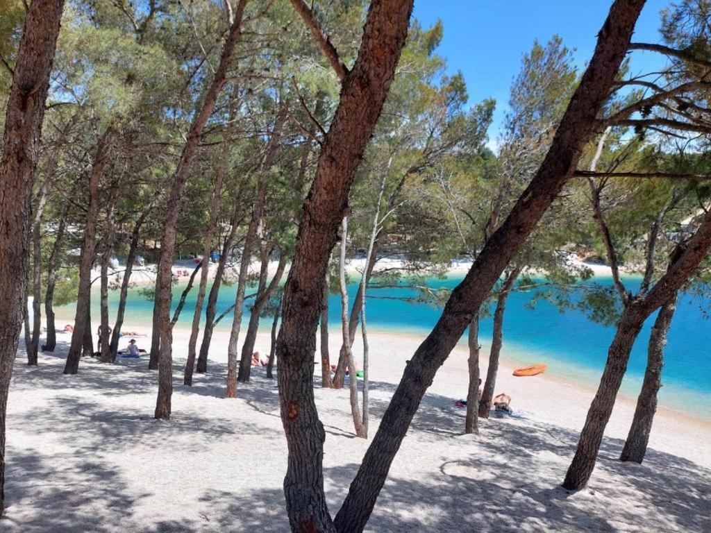 Luxury Mobile Home Pretty Green - Premium - Oaza Mira Resort -50 M From The Beach Drage Eksteriør billede